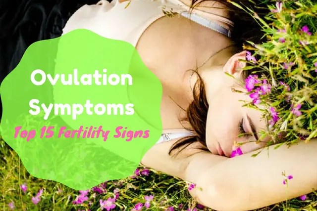 Ovulation Symptoms Top 15 Fertility Signs Every Woman Should Know