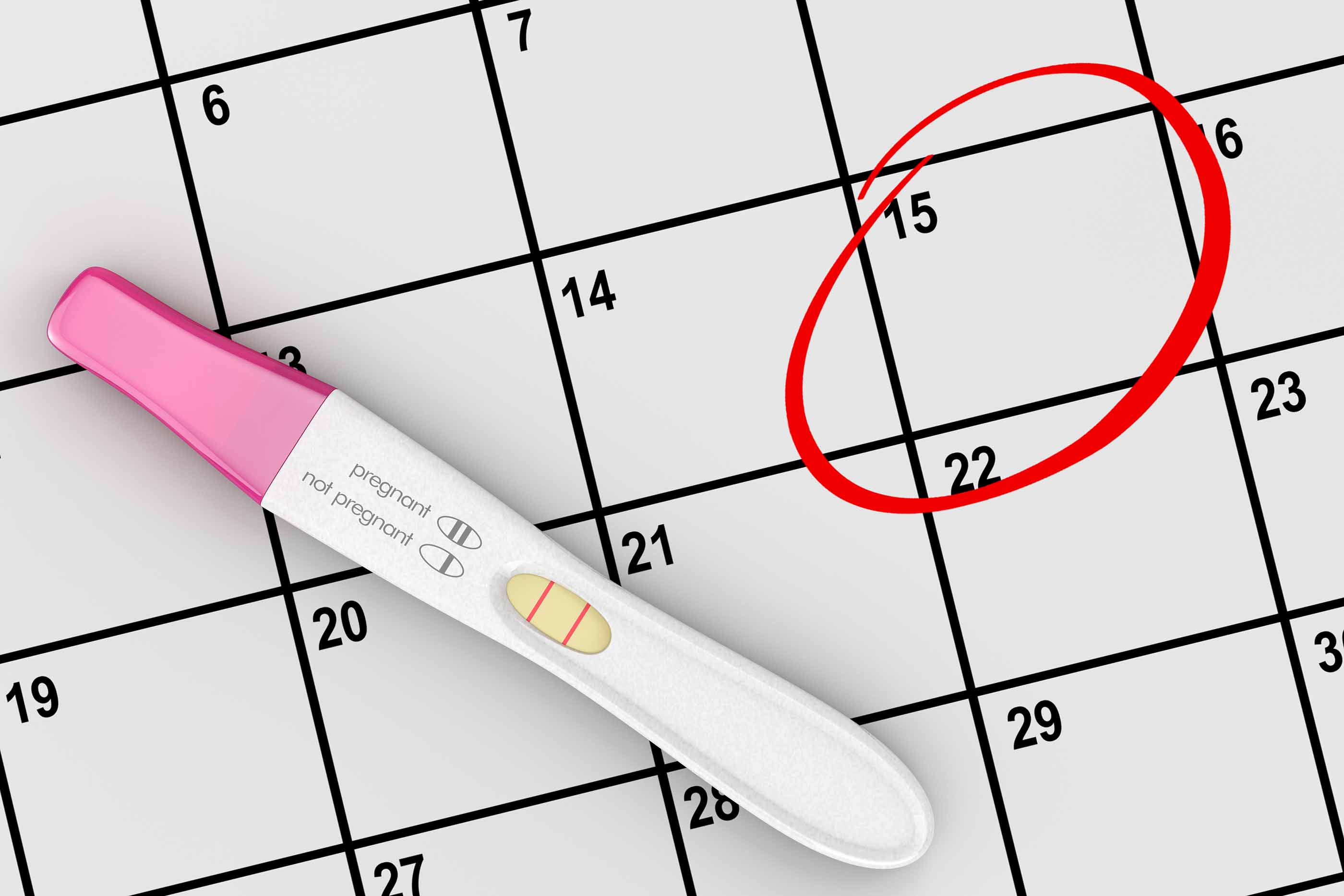 Due date calculator / pregnancy calculator find out your due date