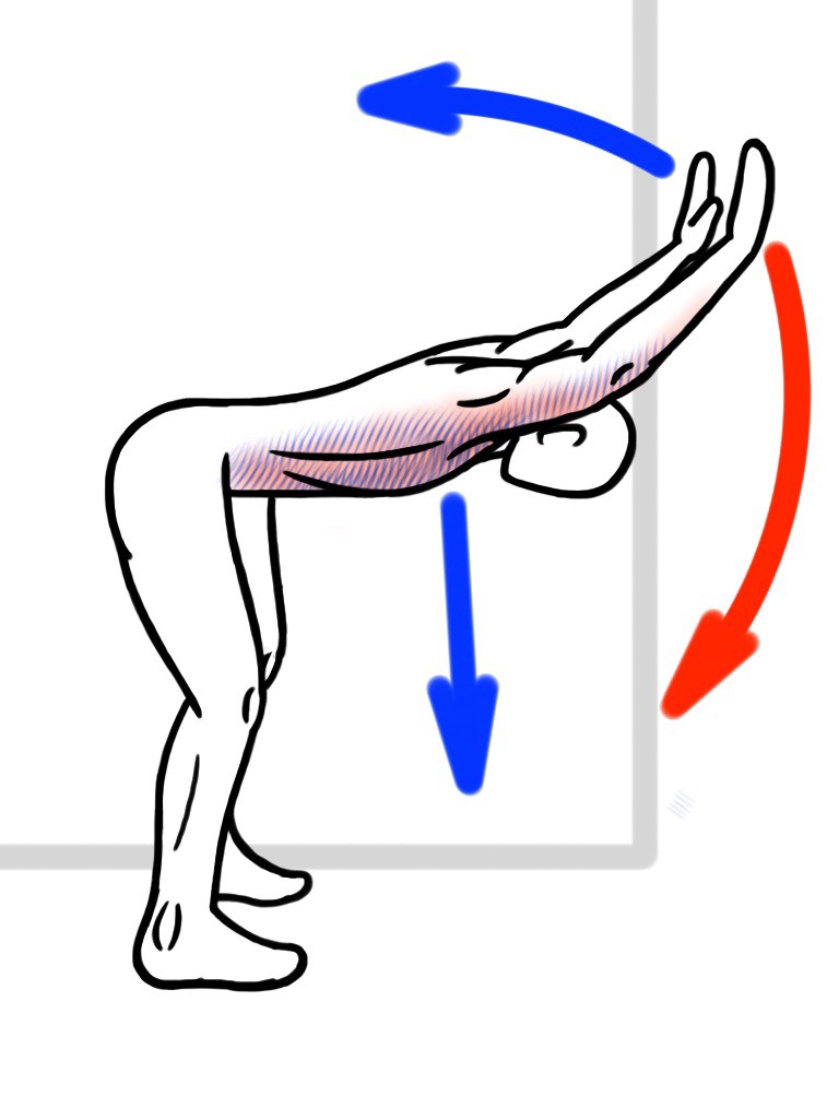 Bicep tendonitis from low bar squats Forums
