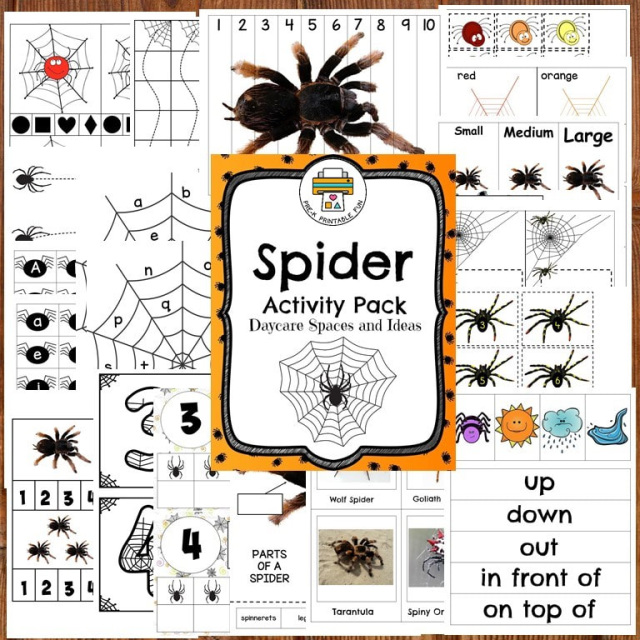 Spider Printable Activity Pack