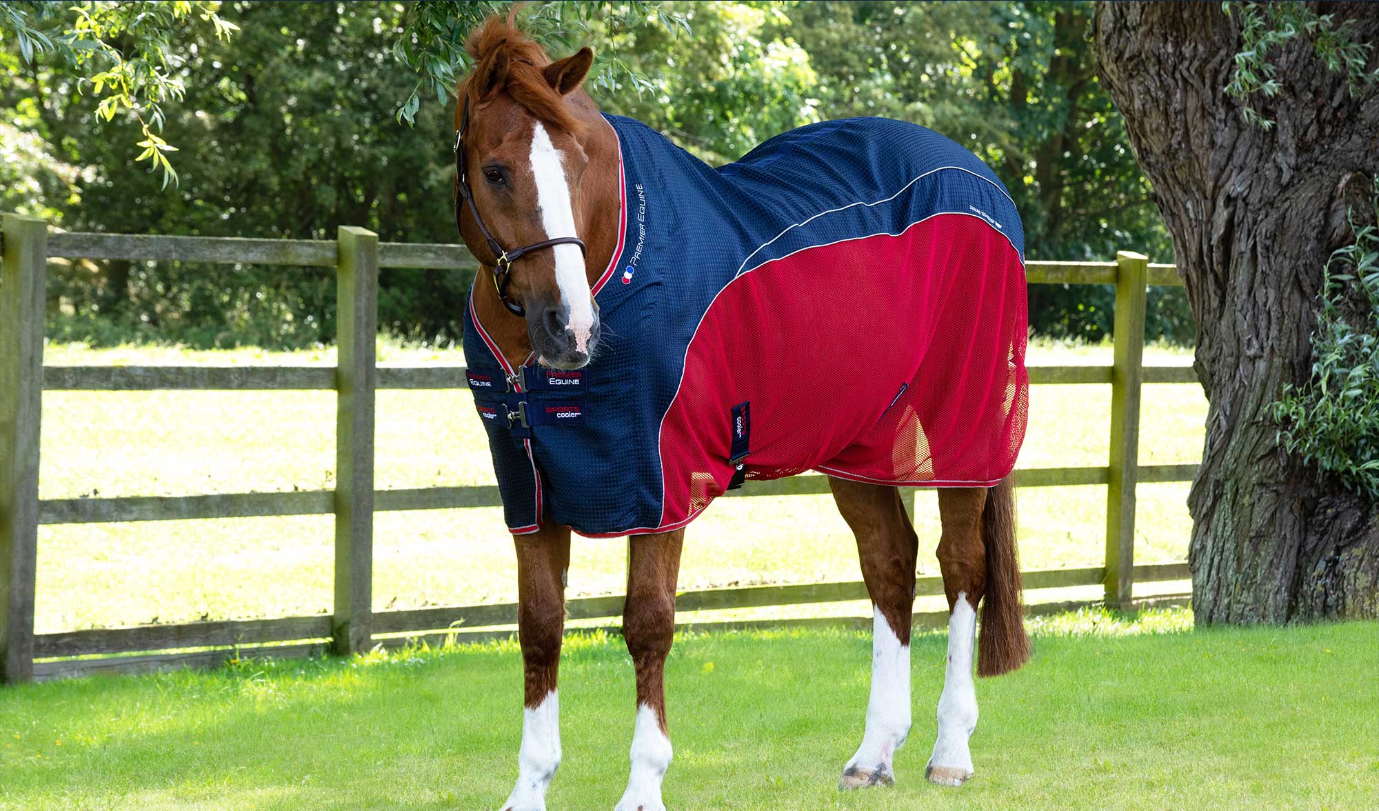 Horse Cooler Rugs from Premier Equine Premier Equine Int. Ltd.