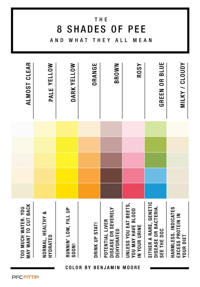 8 Shades of Pee You Need to Know Now Premier Fitness Camp's Health