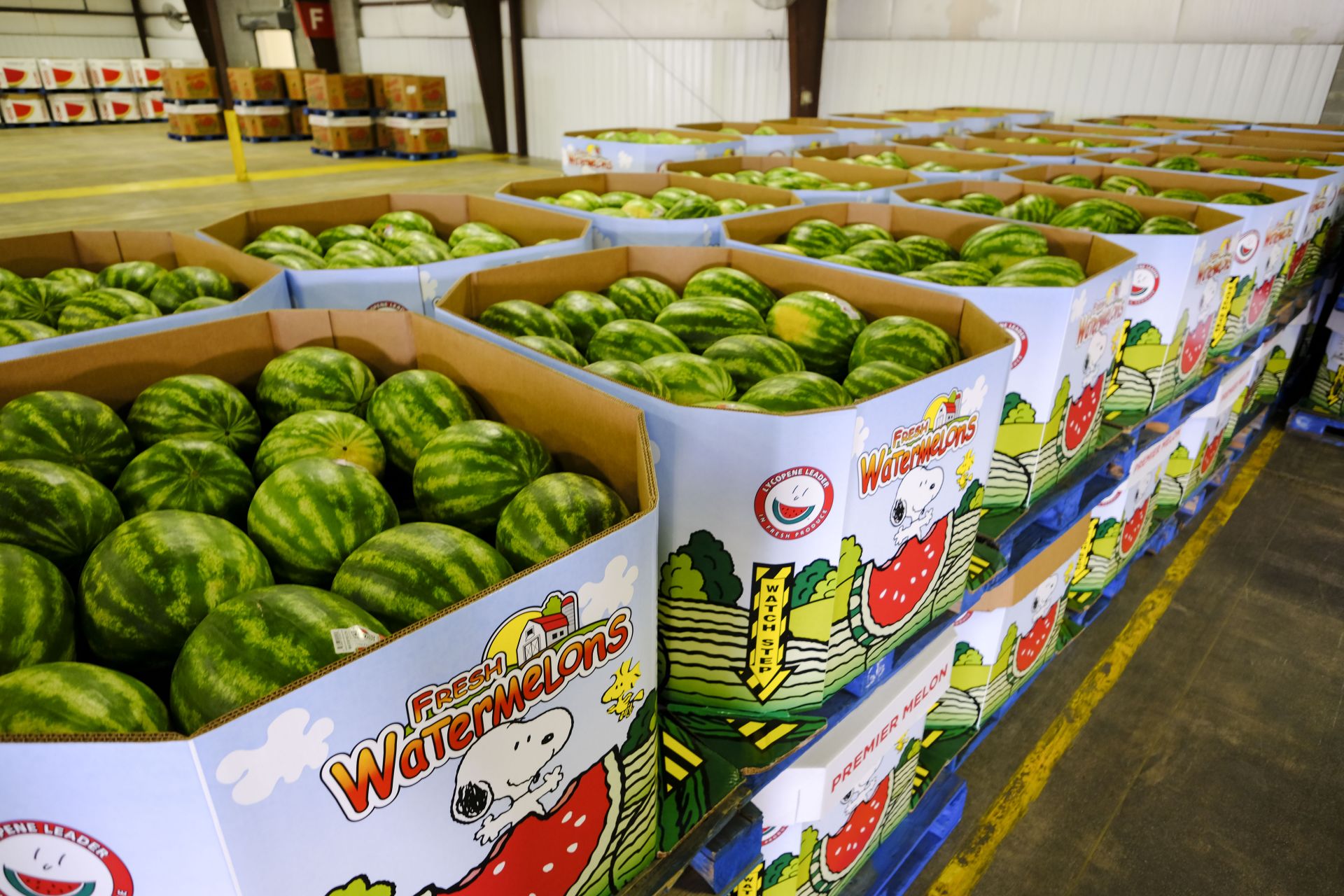 Shipping Locations l Premier Melon l Watermelon Shipper