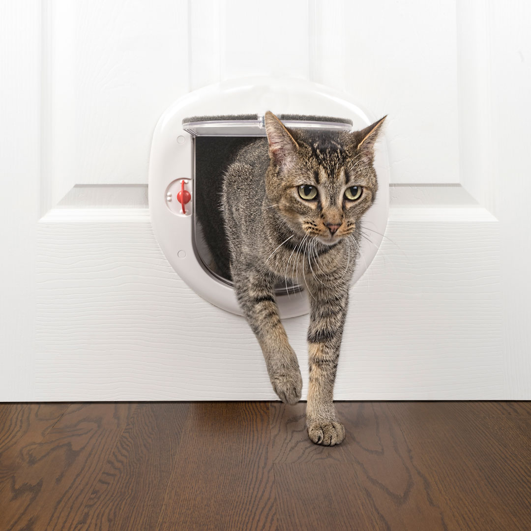 Locking Pet Door Premier Pet