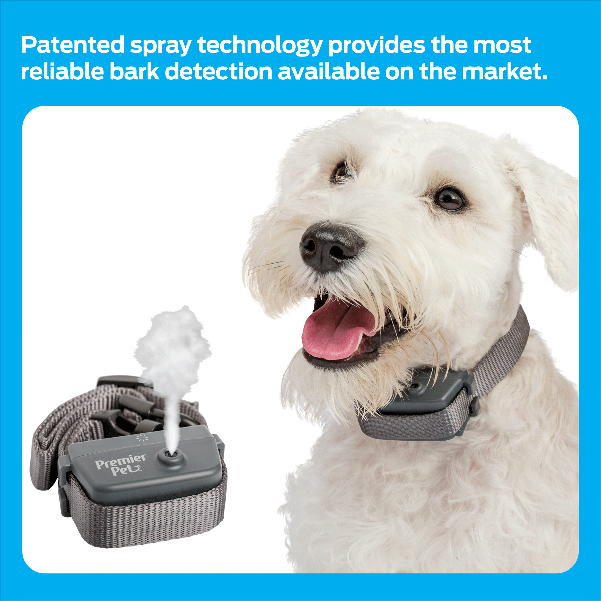 Is Citronella Harmful To Dogs