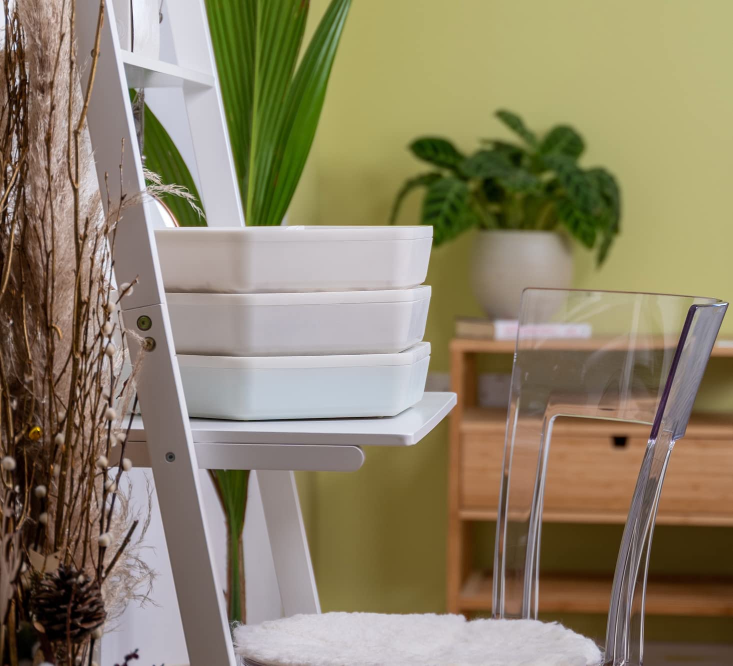 Mealworm Habitat 3 Growing Pod