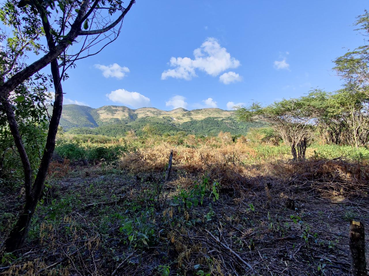 3 Mount Pamphret St Prescod Property Services