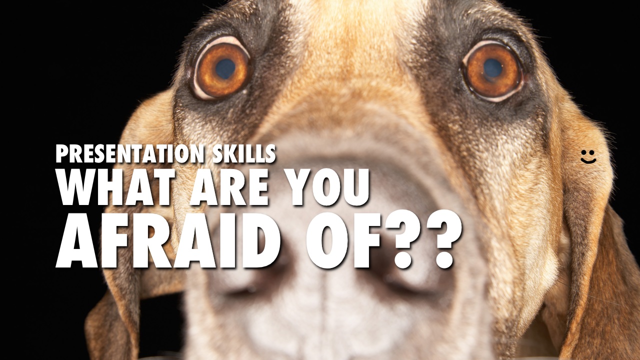 What Are You Afraid Of? Presentation Expressions