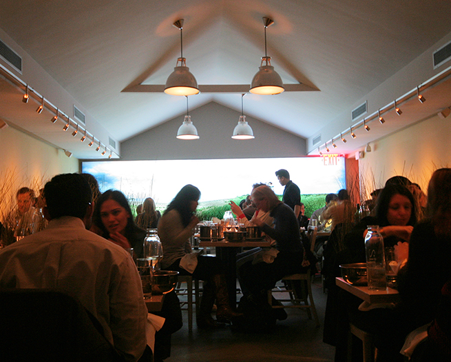 Flex Mussels Presentation Products