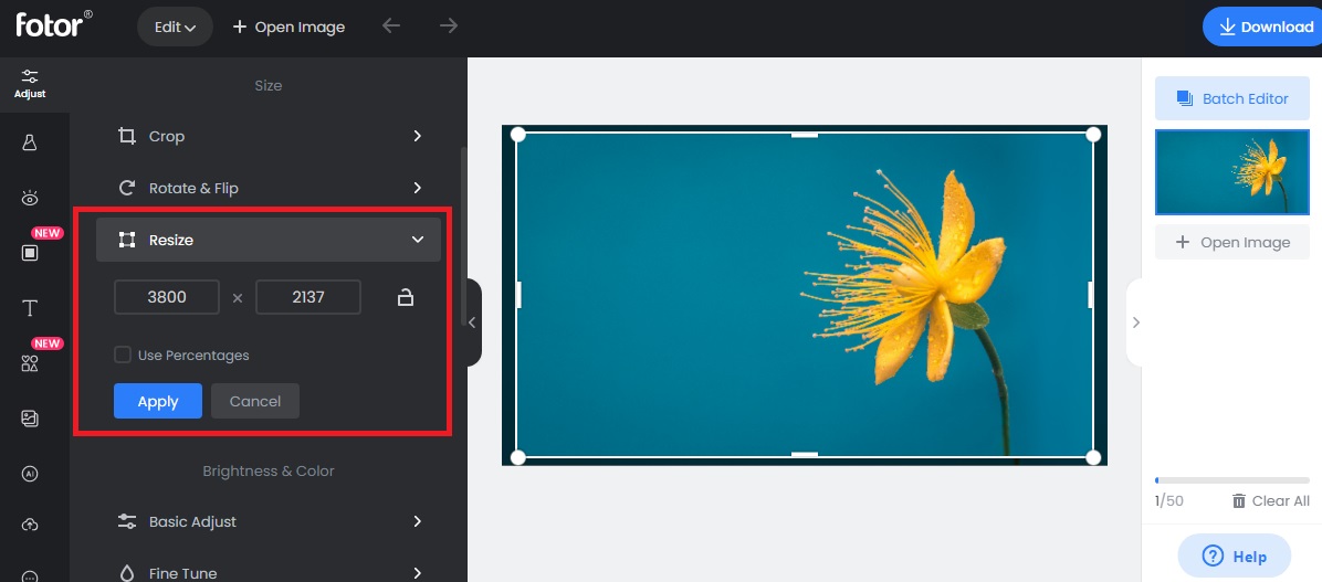 How To Enlarge A Picture Without Losing Quality In Microsoft Word