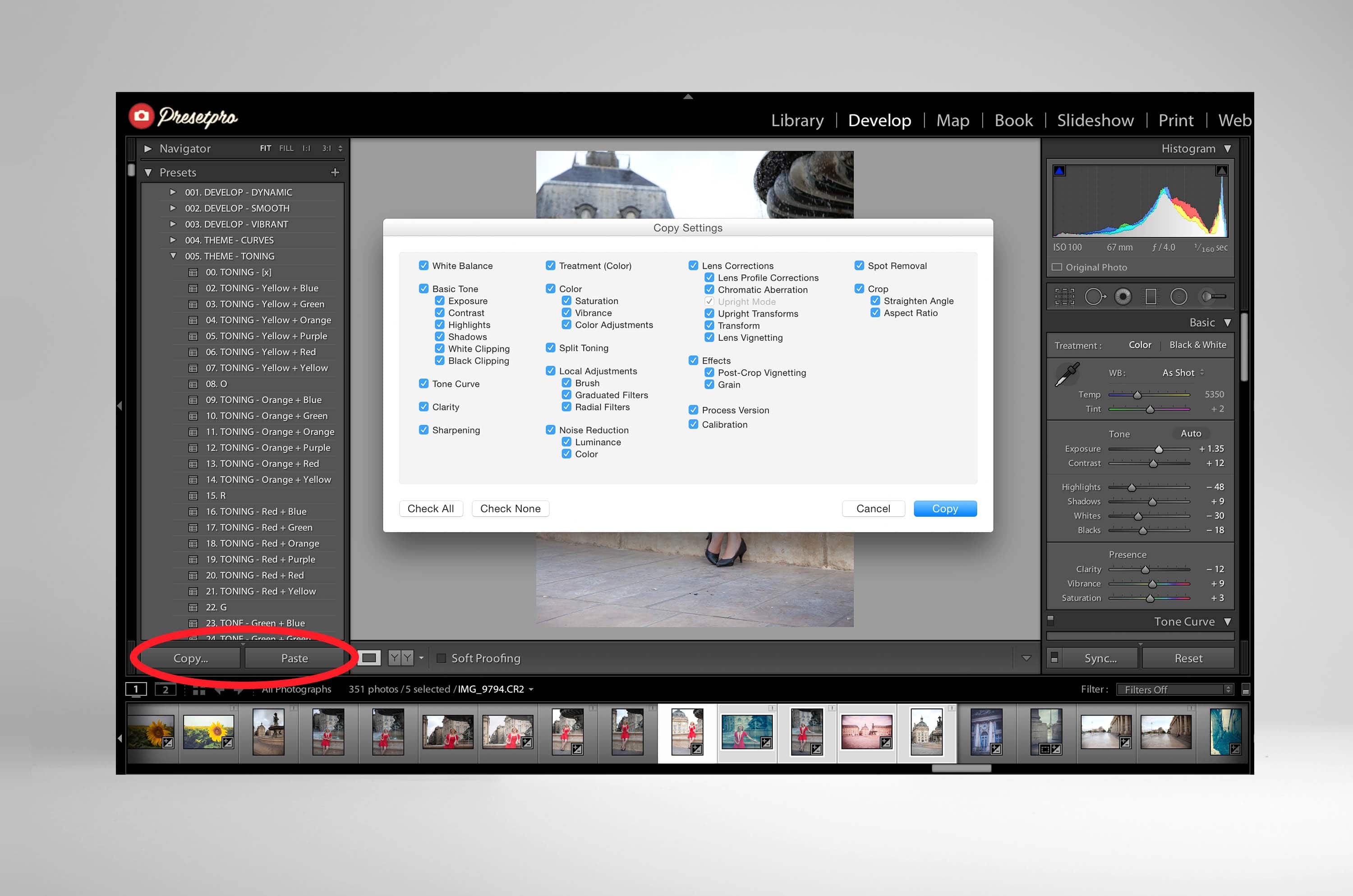 How To Apply Lightroom Presets To Multiple Photos / Neo Winter Story