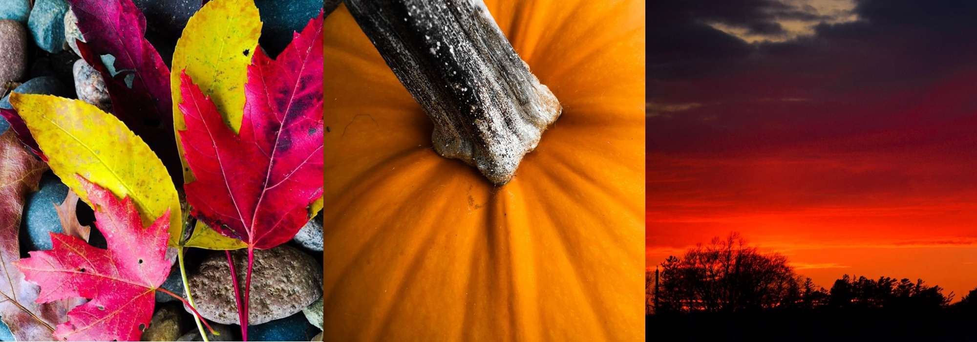 Explore Preston Minnesota — Get Hooked!