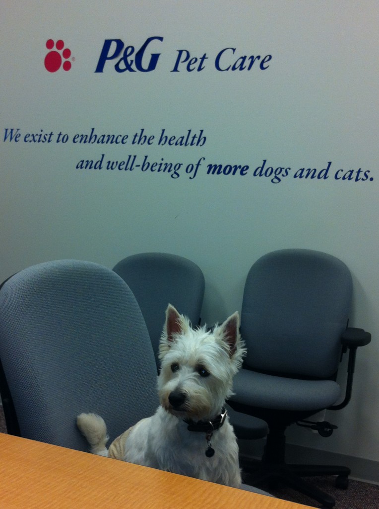 My trip to the P&G Pet Care headquarters