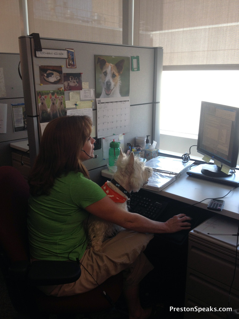 My trip to the P&G Pet Care headquarters