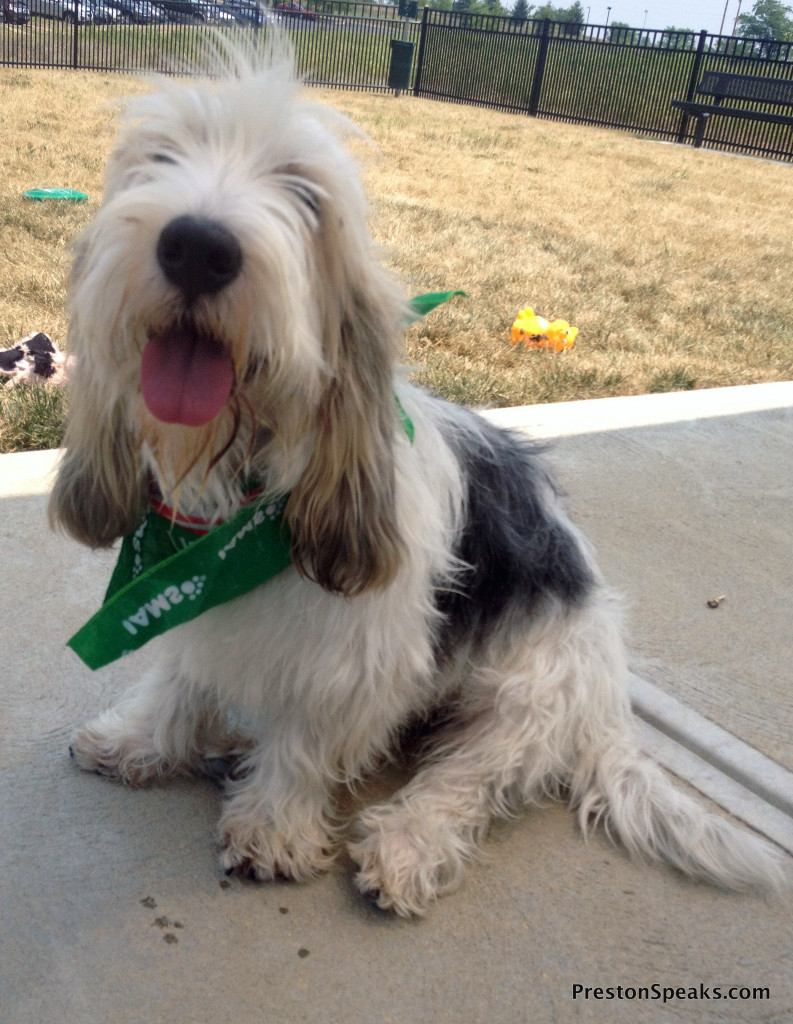 My trip to the P&G Pet Care headquarters