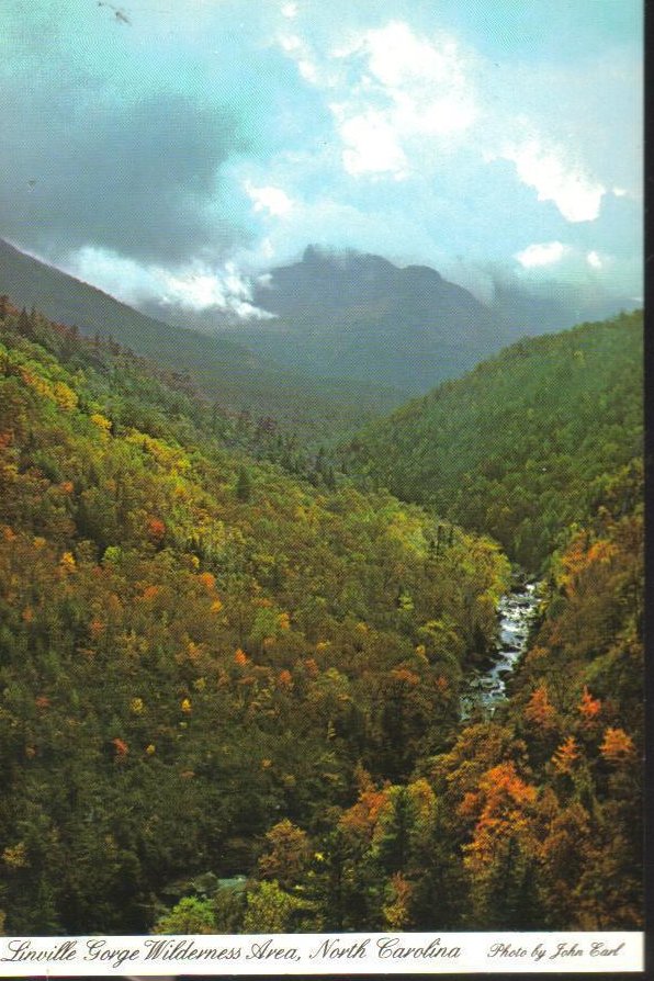 Linville Wilderness Area North Carolina Postcard