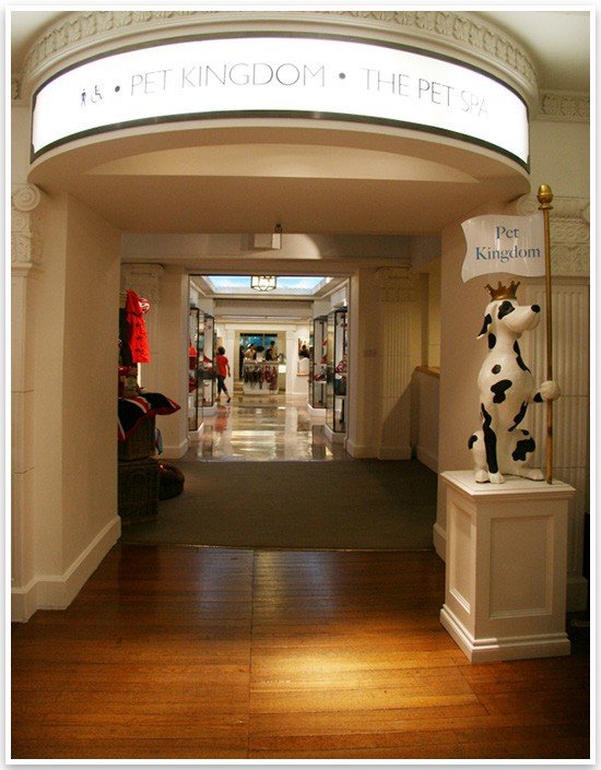 A Tour of Harrods Pet Kingdom Luxury Pet Products Pretty Fluffy