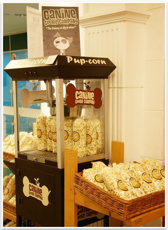 A Tour of Harrods Pet Kingdom Luxury Pet Products Pretty Fluffy