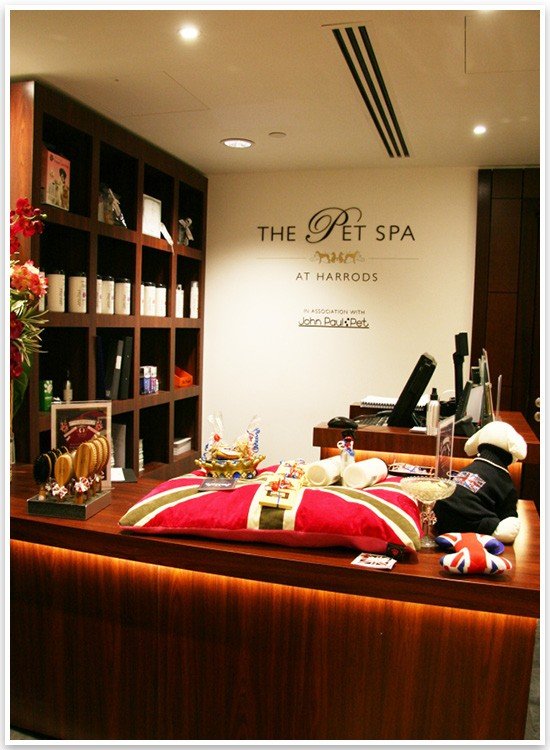 A Tour of Harrods Pet Kingdom Luxury Pet Products Pretty Fluffy