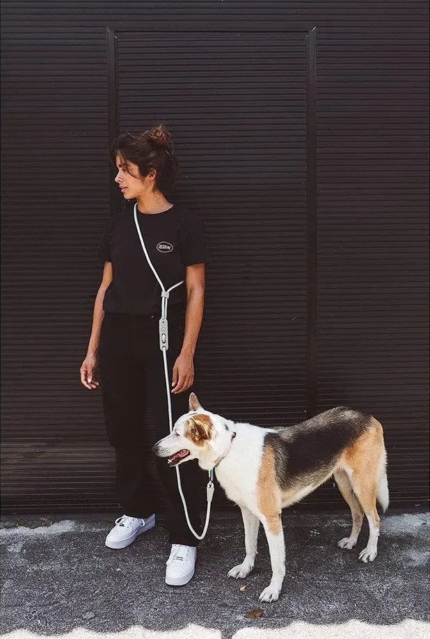 Top 6 Rope Dog Collars and Leashes Pretty Fluffy