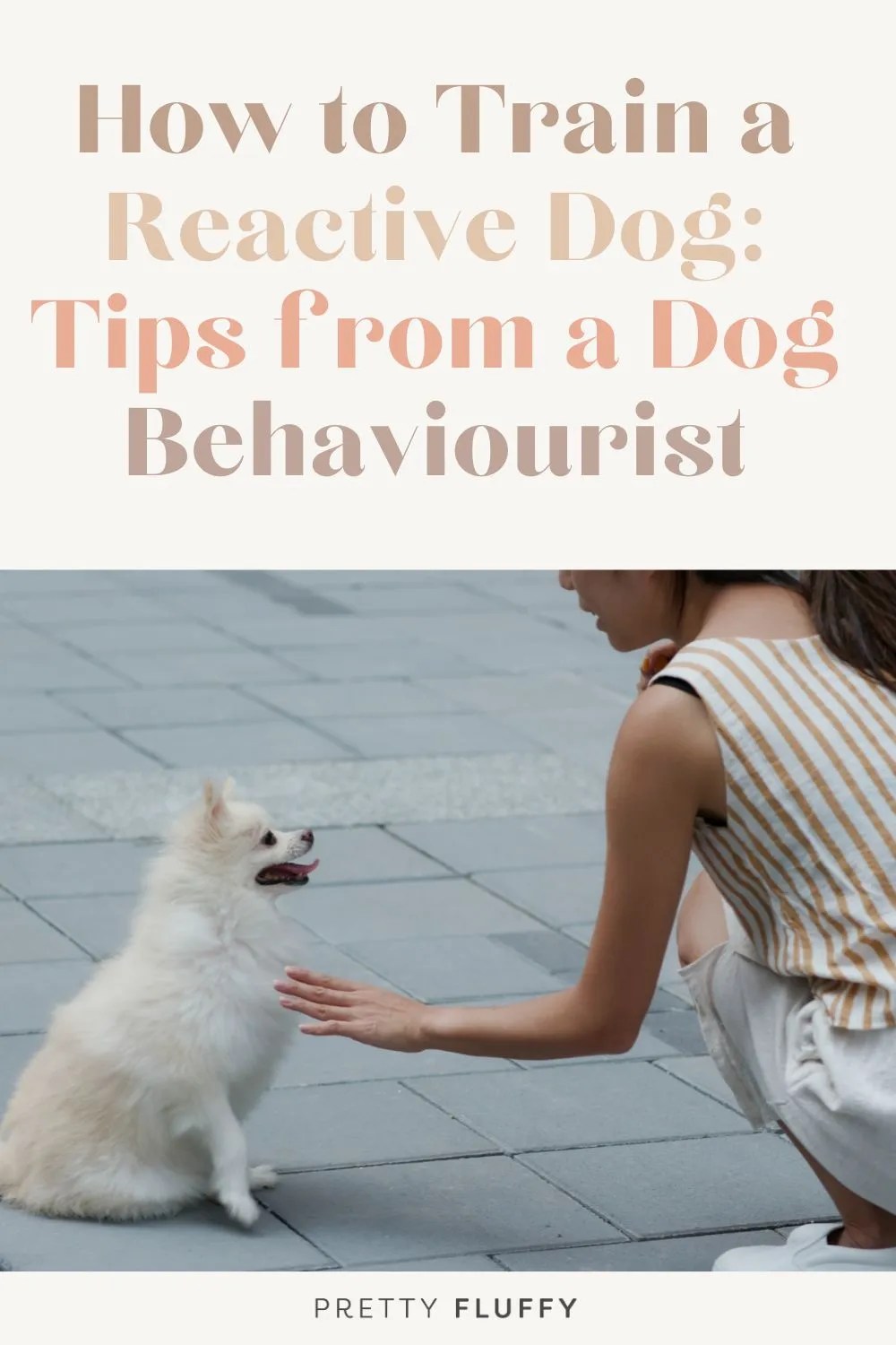 How to Train a Reactive Dog Tips from a Dog Behaviourist