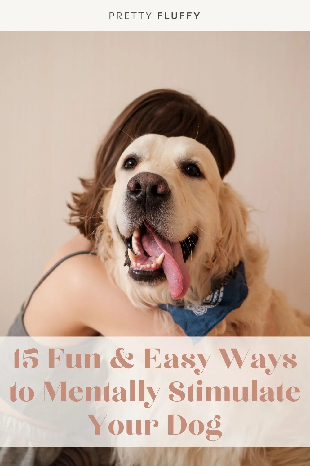 15 Fun & Easy Ways to Mentally Stimulate Your Dog Pretty Fluffy The