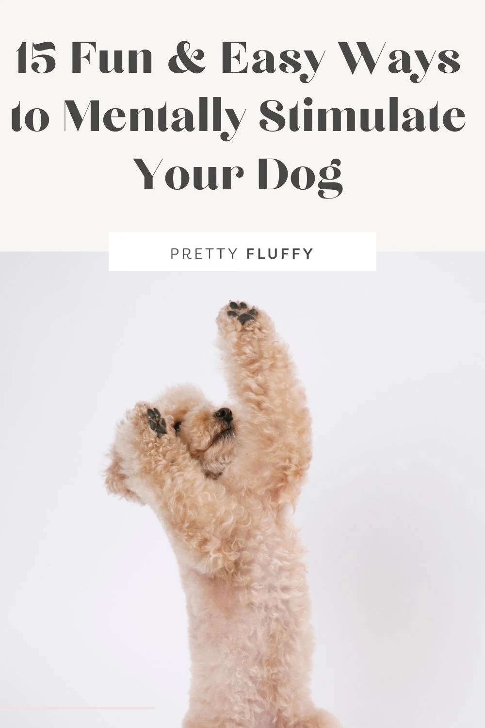 15 Fun & Easy Ways to Mentally Stimulate Your Dog Pretty Fluffy The