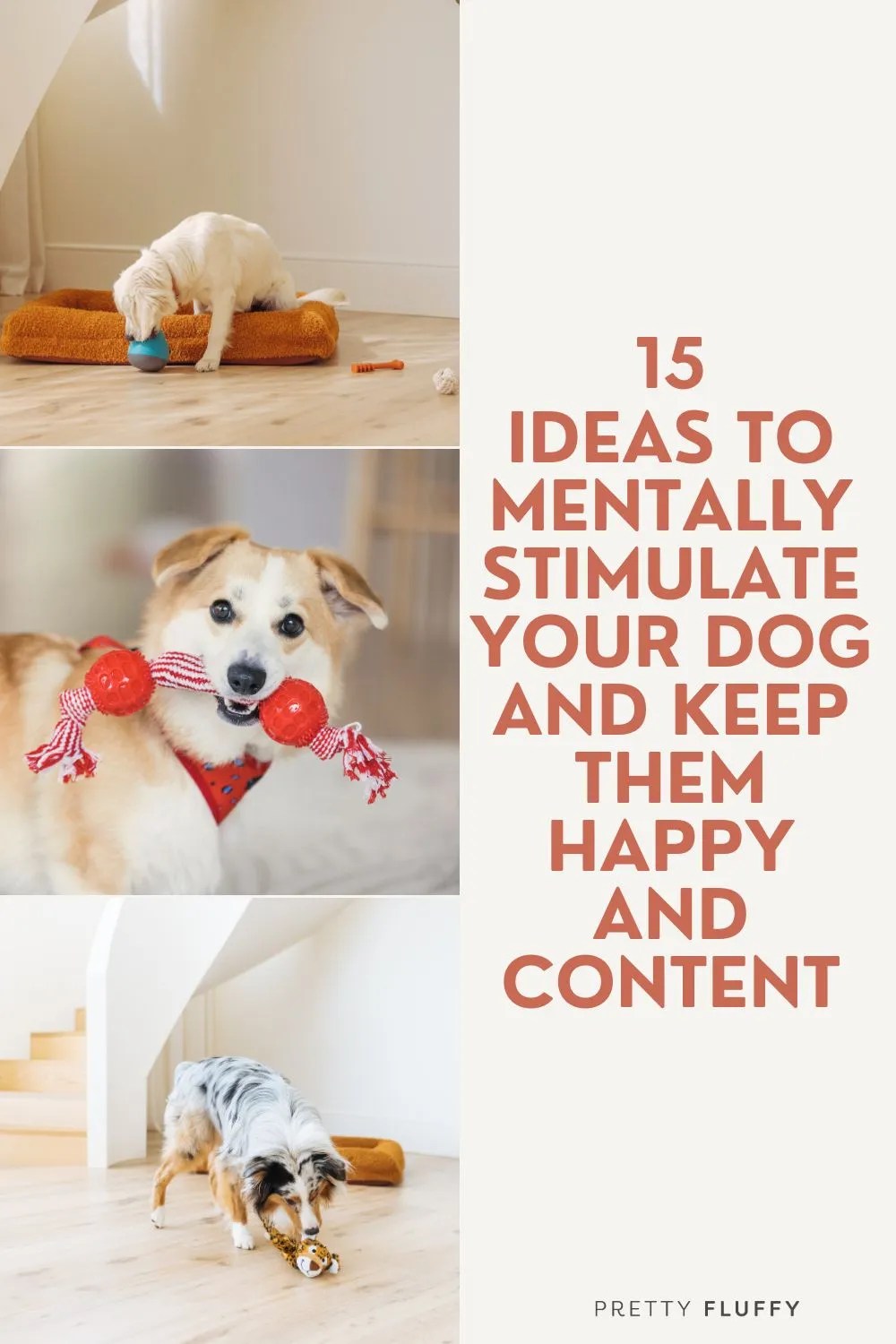 15 Fun & Easy Ways to Mentally Stimulate Your Dog Pretty Fluffy The