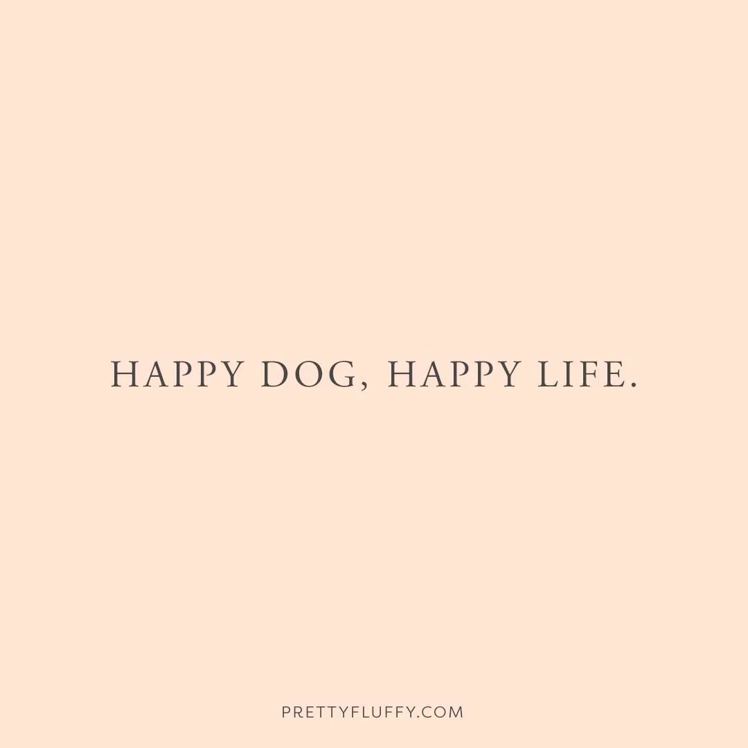 28 Funny Dog Quotes Every Crazy Dog Lady Will Get