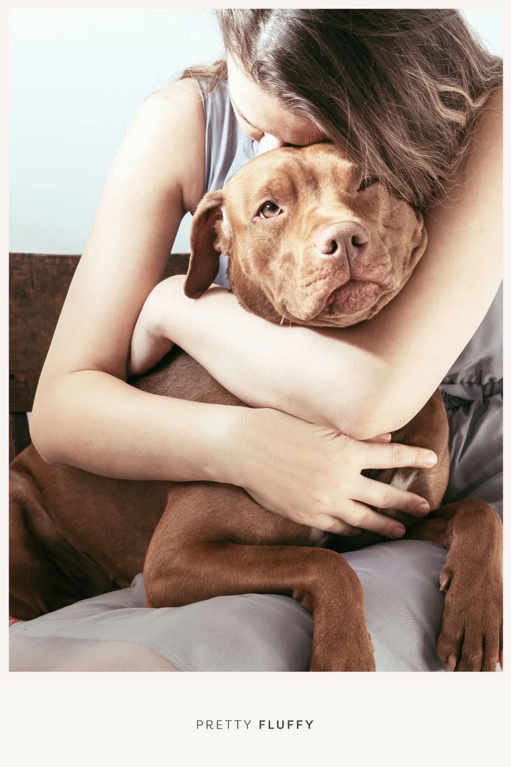 When to Put Your Dog Down How to Know it's the Right Time