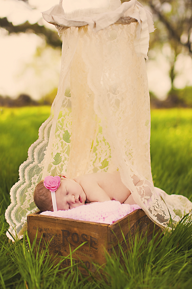 Baby Plan Photography Packages By Tara Swain