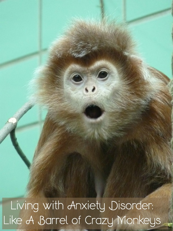 Living With Anxiety Disorder Is A Barrel Of Crazy Monkeys