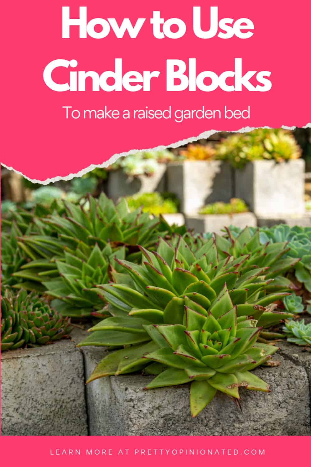 You can purchase kits or make your own version. How To Use Cinder Blocks To Make A Raised Garden Pretty Opinionated