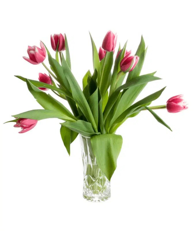 Treasured Tulips Bouquet Pretty Petals