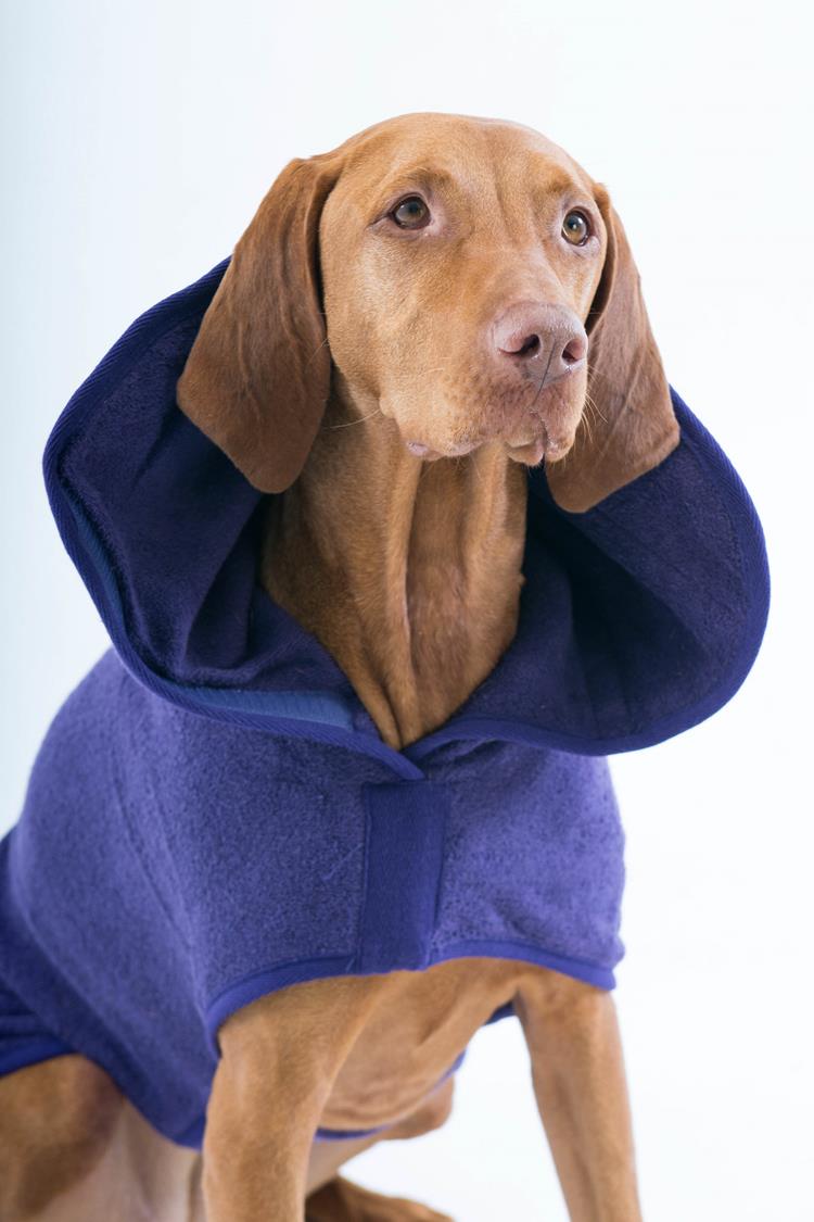 Dog Drying Coats Pretty Pointer
