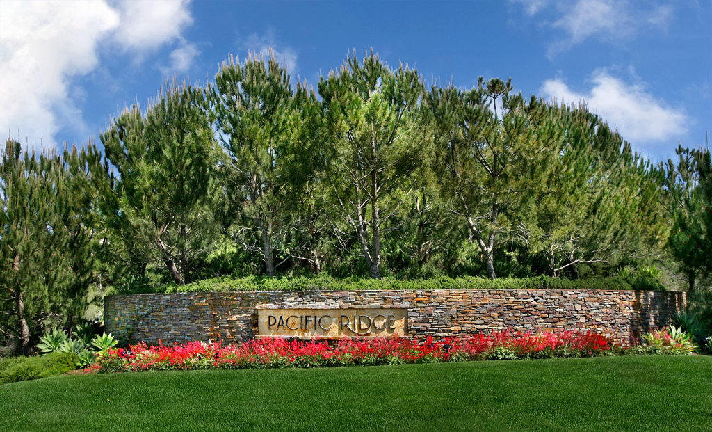 The Appeal of Pacific Ridge in Newport Coast