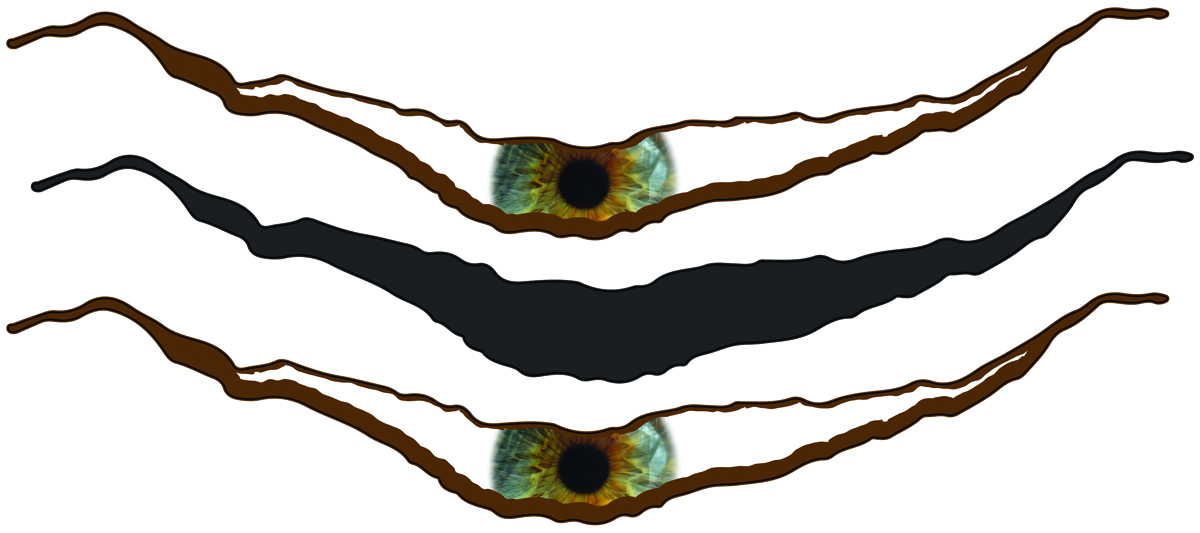 JUL142311 DOCTOR WHO CRACK IN THE WALL STICKER SET Previews World