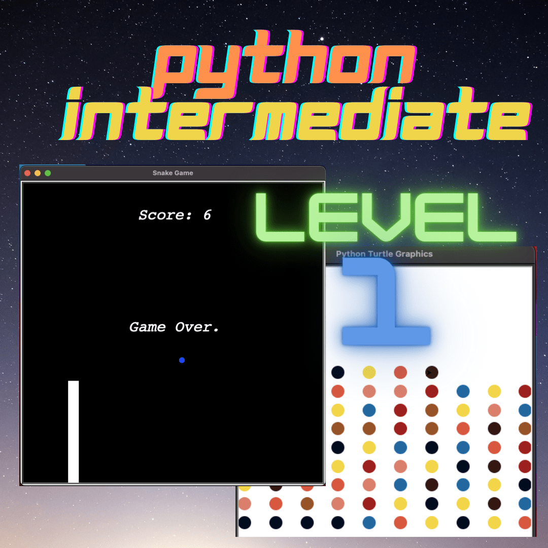 Python Projects Intermediate Level 1 Prgramly
