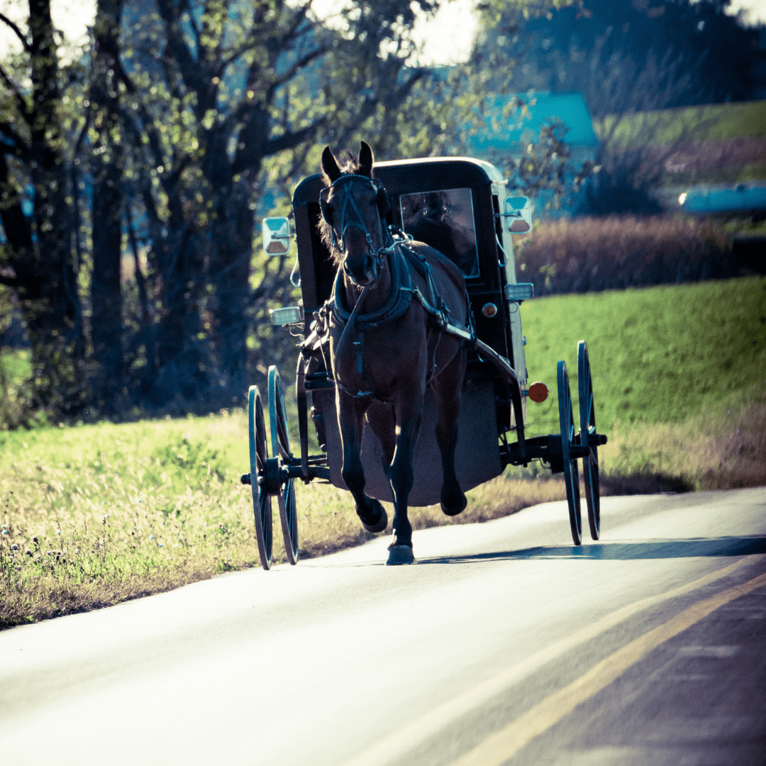 175+ Amazing Amish Names (Traditional and Biblical Boy and Girl Names