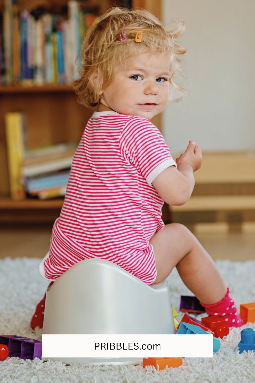 From Accidents to Achievements Genius Potty Training Tips Pribbles
