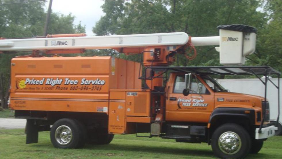 Priced Right Tree Service Deepwater, MO 64740