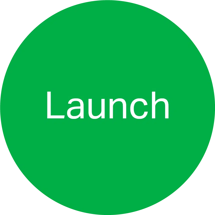 Launch Icon Priceless Consulting LLC