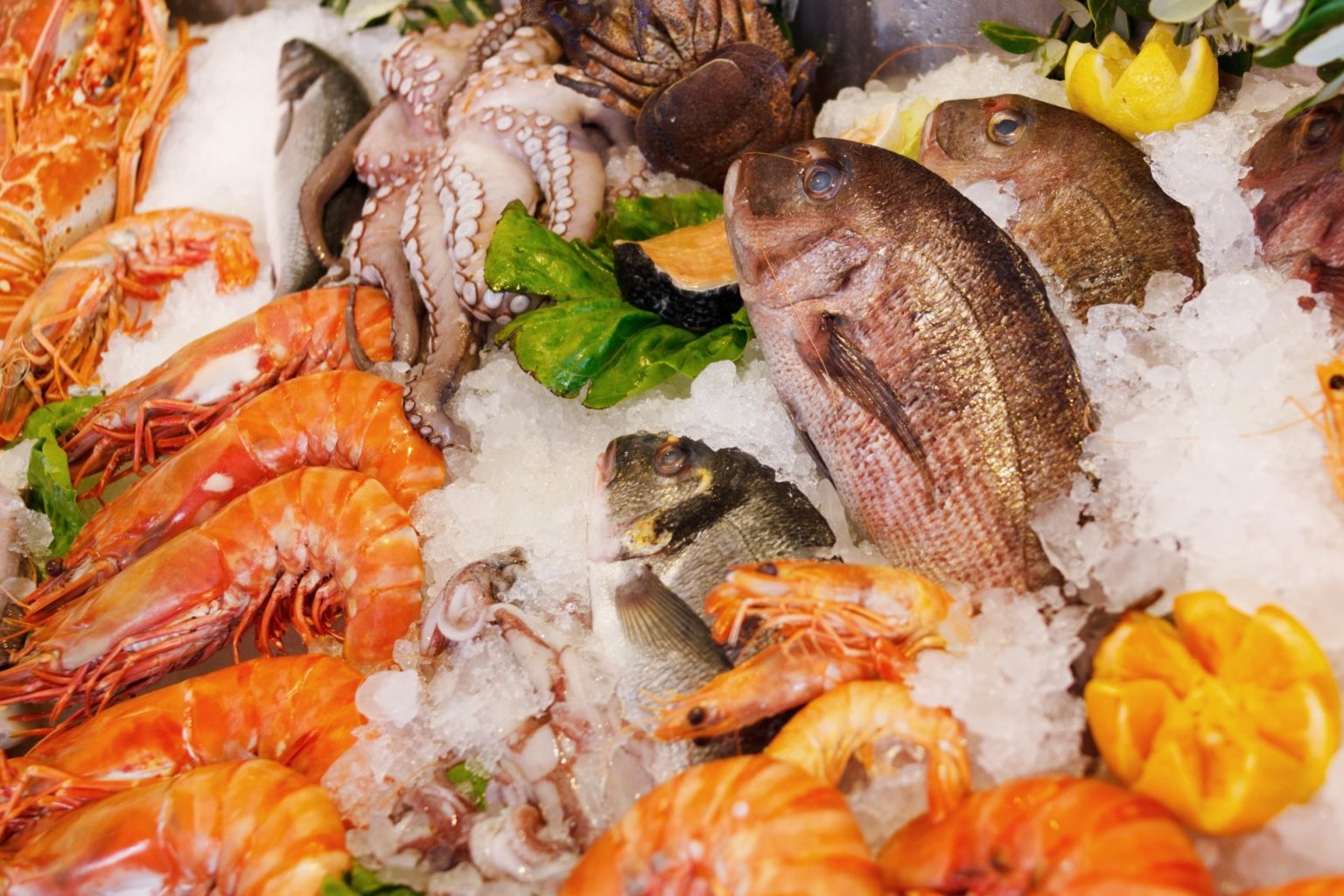 Cooking Fish The Different Types of Seafood Explained