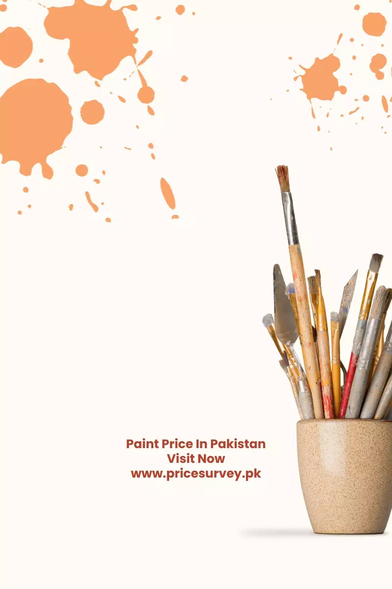 Paint Price In Pakistan All brands July 2024