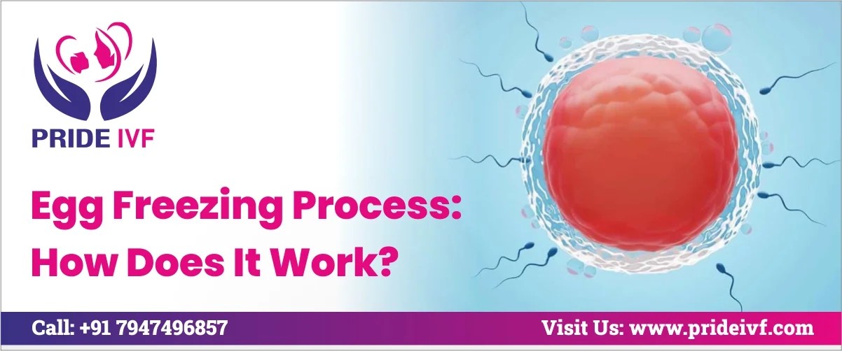 Egg Freezing Process How Does It Work?