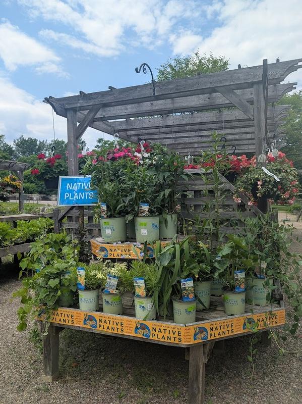 Brand Display Progarms and Promotions