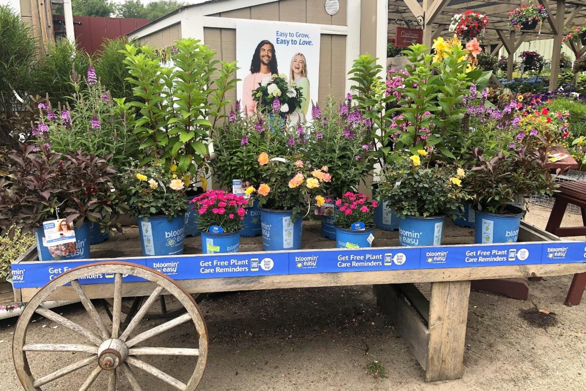 Brand Display Progarms and Promotions