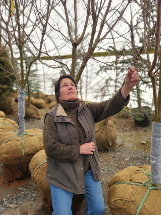 Donna Chiangi Prides Corner Farms Personnel Details