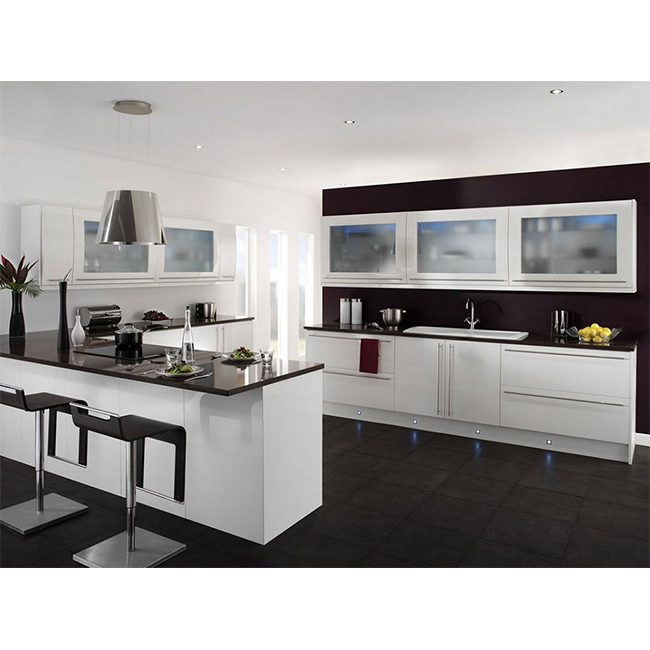 modern style lacquer finish kitchen