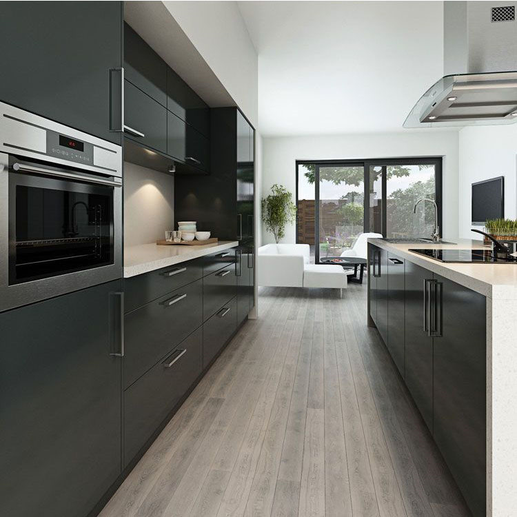 modern style lacquer finish kitchen